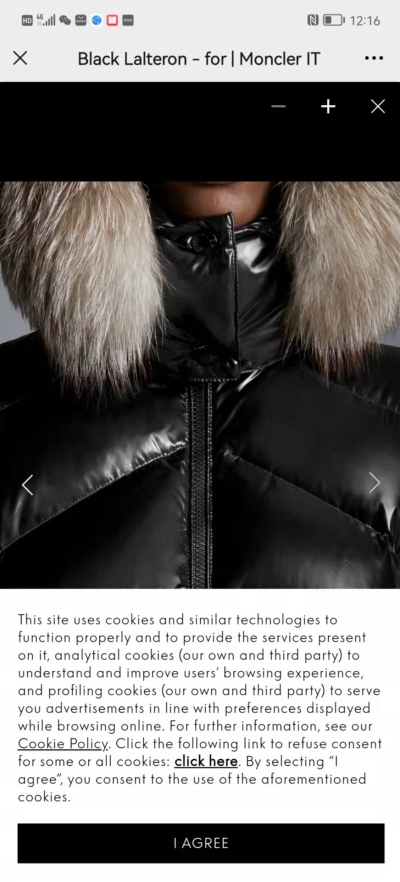 Moncler Down Jackets